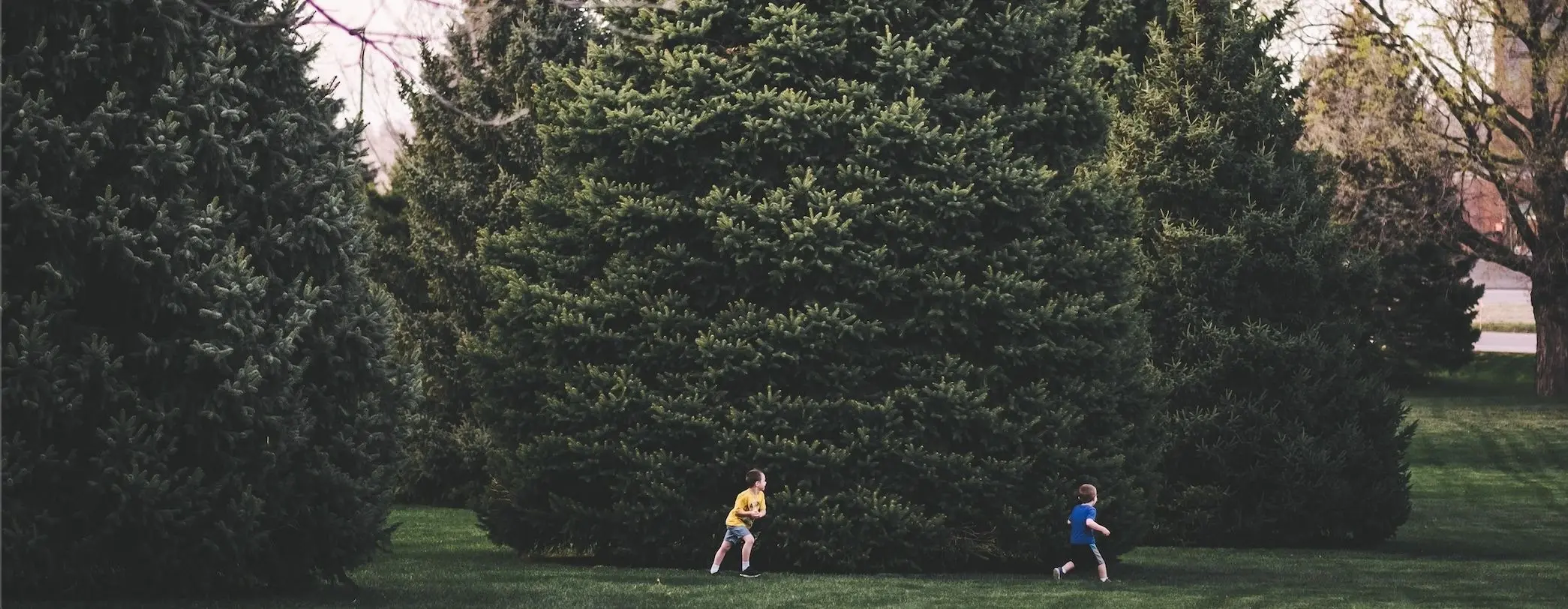 children playing in a park