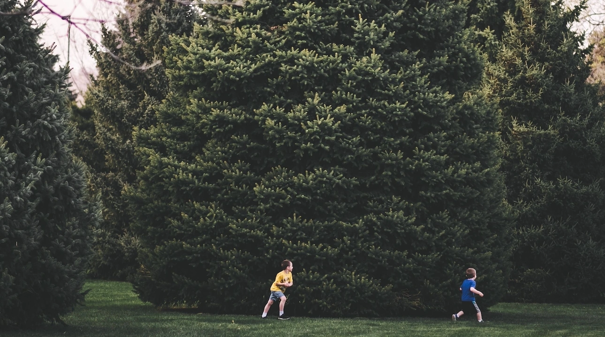 children playing in park